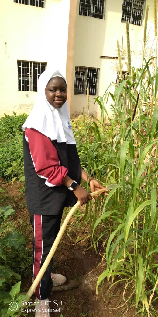 School Farm